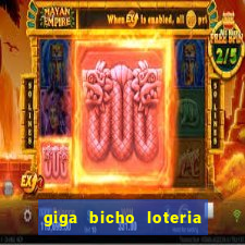 giga bicho loteria dos sonhos